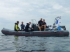 seal60