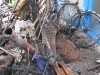 clean-up-2009-1